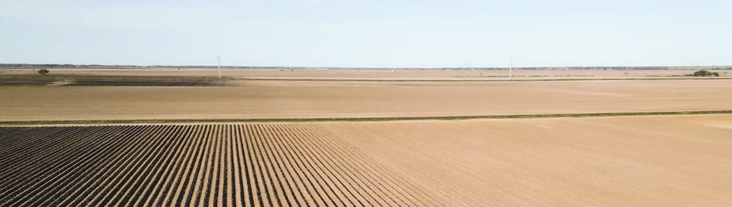 matagorda2 2
