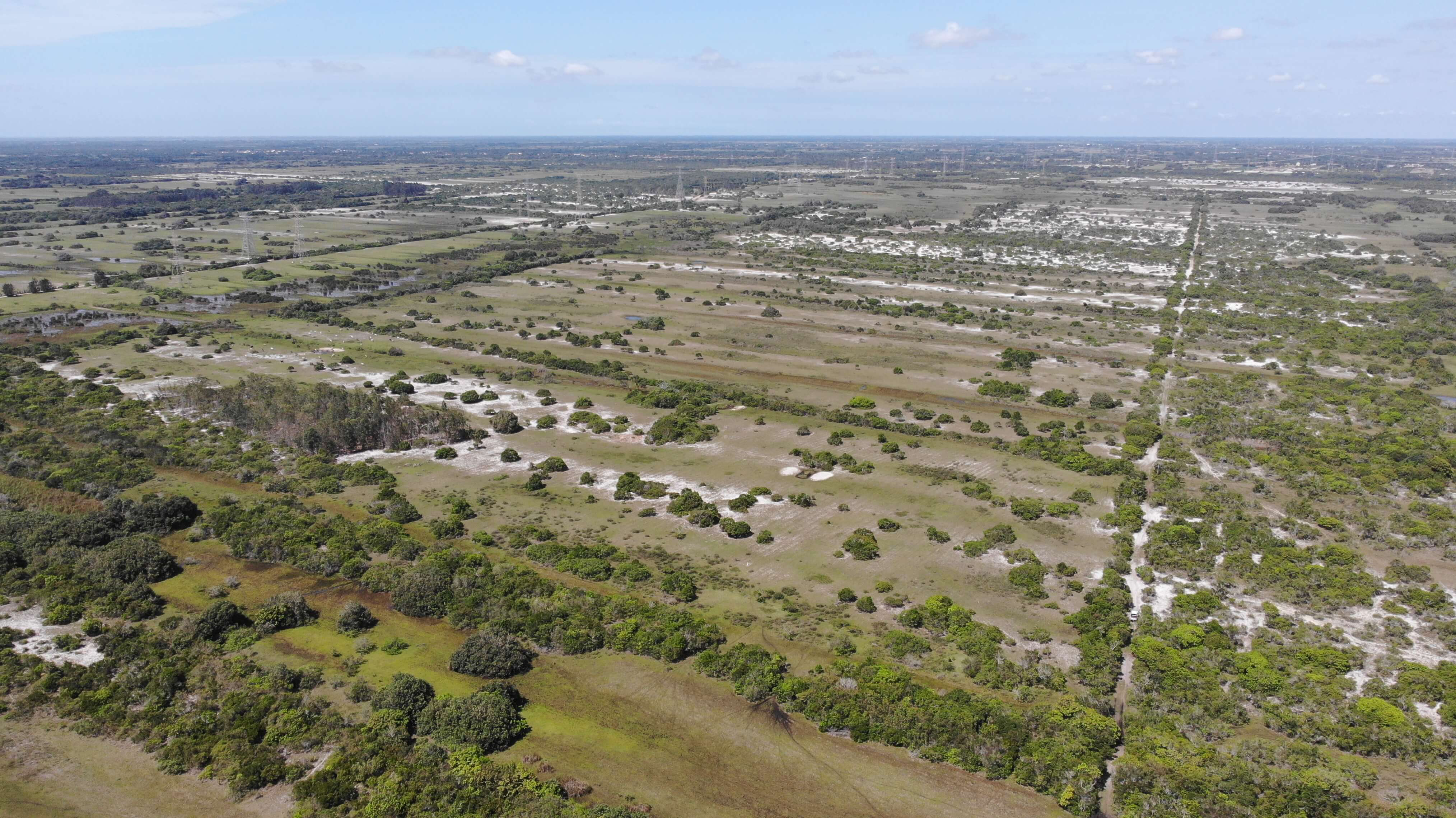 Actualizaciones del proyecto 01