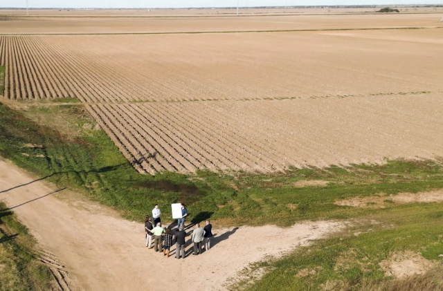 Actualizaciones del proyecto Matagorda 04