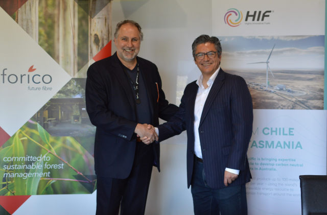 Actualizaciones del proyecto Tasmania 01