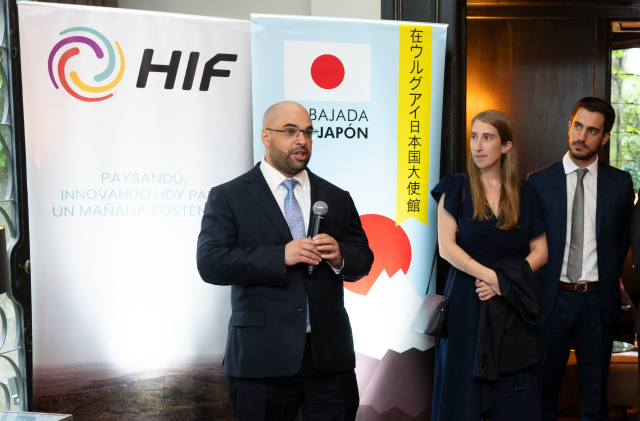 Actualizaciones del proyecto Paysandú 01