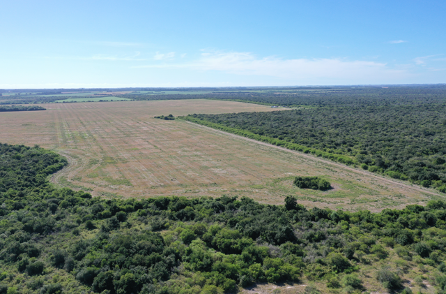 Actualizaciones del proyecto Paysandú 04